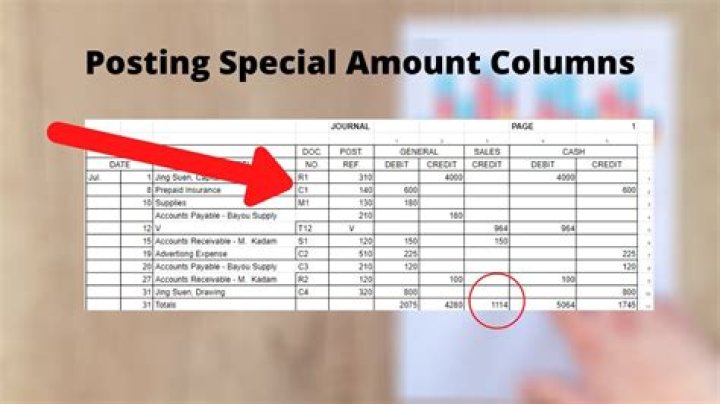 What are the special amount columns on the journal?
