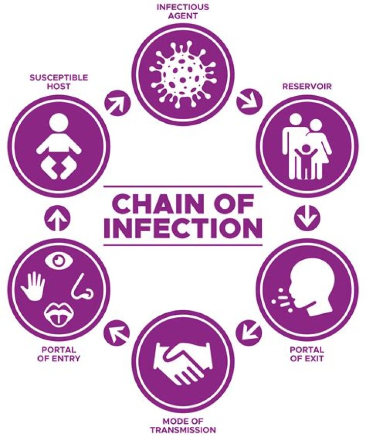 What are the steps of the chain of infection?
