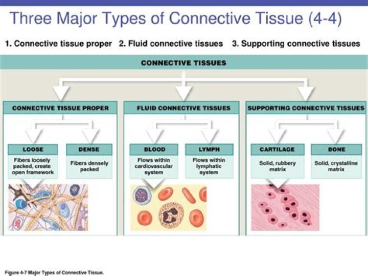 What are the three major categories of assets?