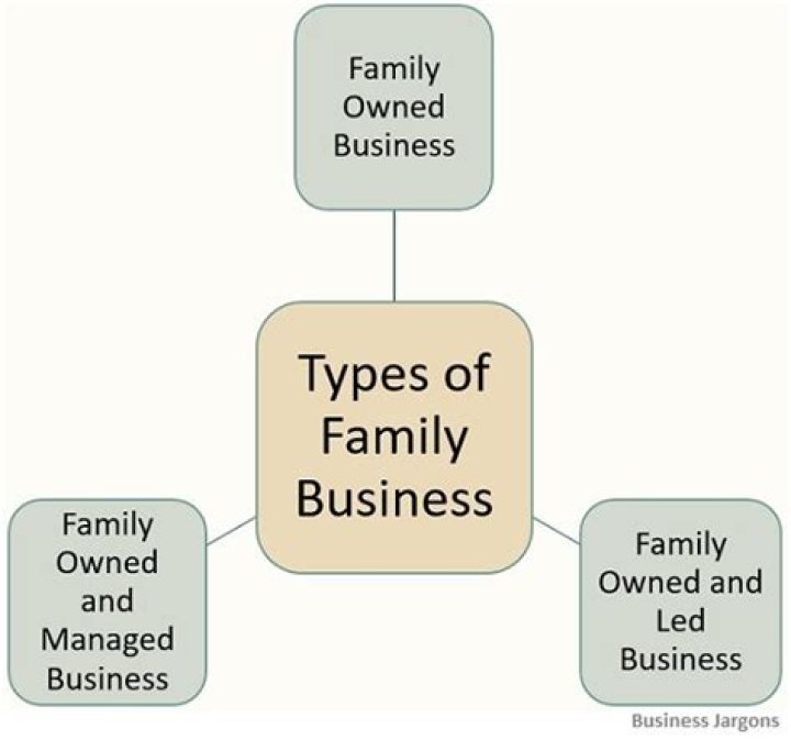 What are the three types of family business?