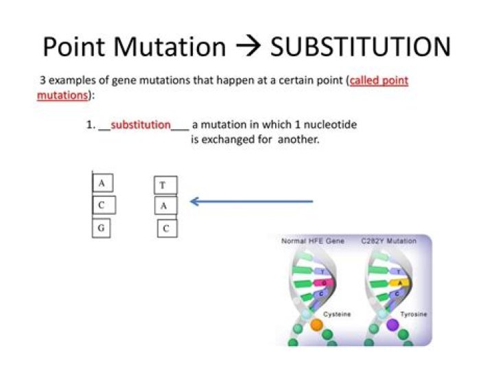 What are the three types of substitution point mutations?