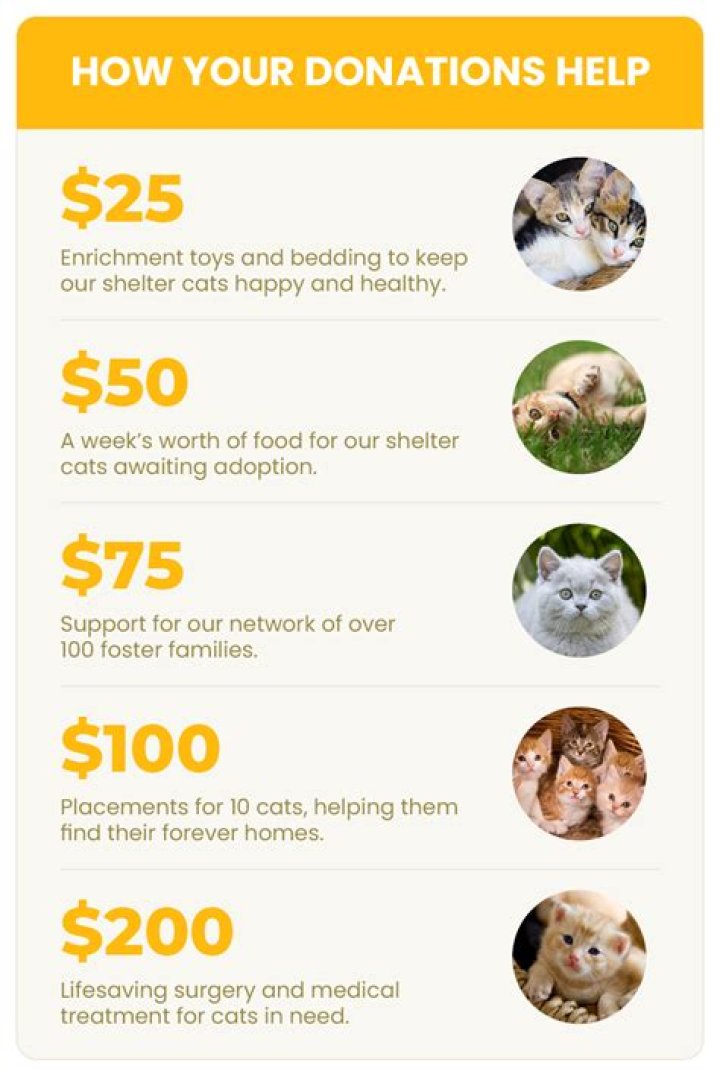 What are the two primary questions that donors expect nonprofits to be able to answer?