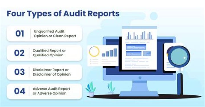 What are the types of audit testing?