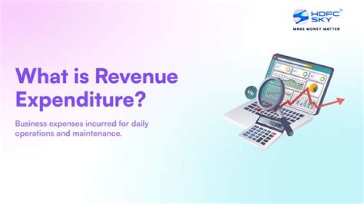 What are the types of revenue expenditure?