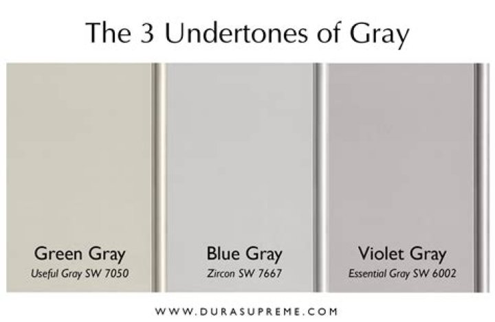 What are the undertones in modern gray?