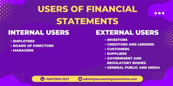 What are users of financial statements?