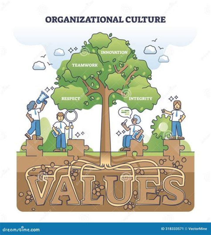 What are values in organizational culture?