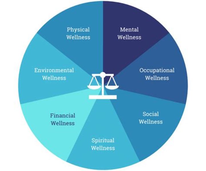 What are wellness opportunities?