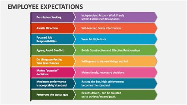 What are your expectations working in this company?