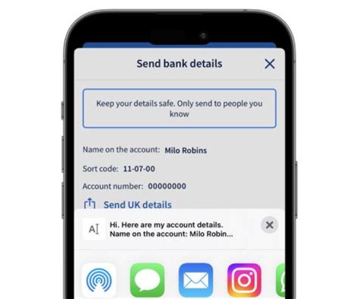 What bank details do you need to send someone money?
