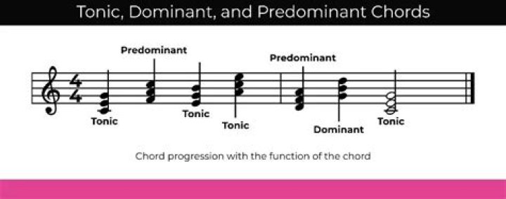 What cadence is tonic to dominant?