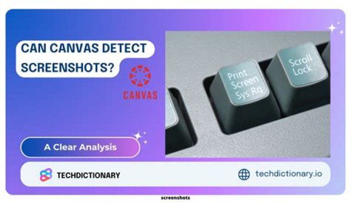 What can canvas do?