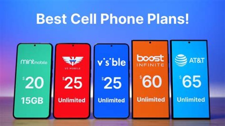 What can the owner of a phone plan See?