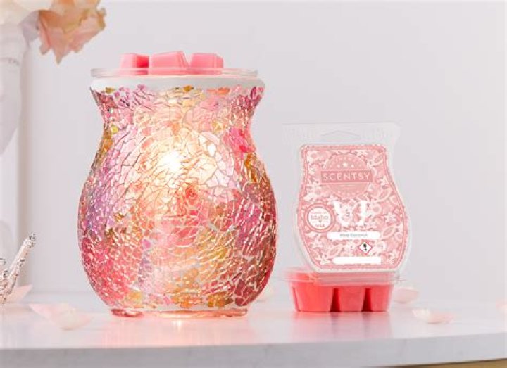 What can you do with old Scentsy warmers?
