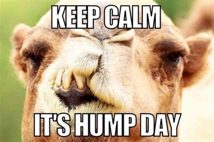 What can you say instead of hump day?