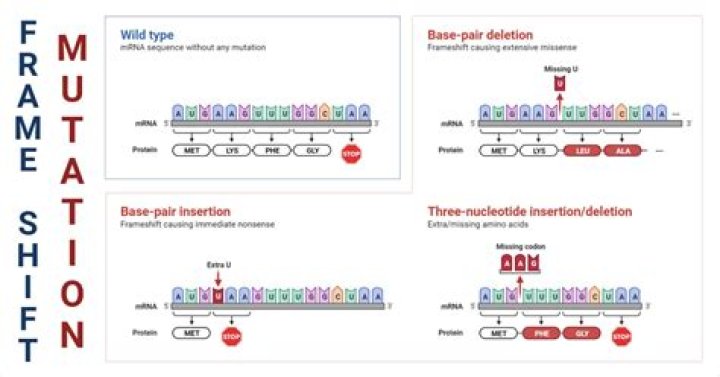 What causes a frameshift?