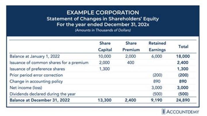 What causes an increase in shareholders equity?