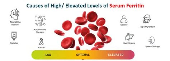 What causes high B12 and ferritin levels?