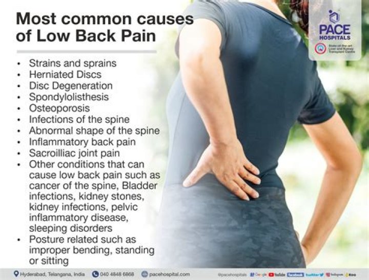 What causes lower back pain?