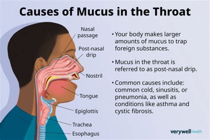 What causes mucus to stay in the throat?