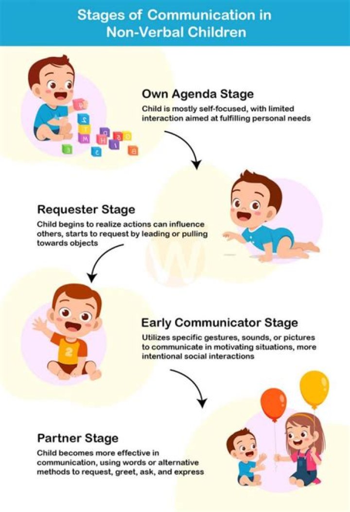 What causes non verbal toddlers?