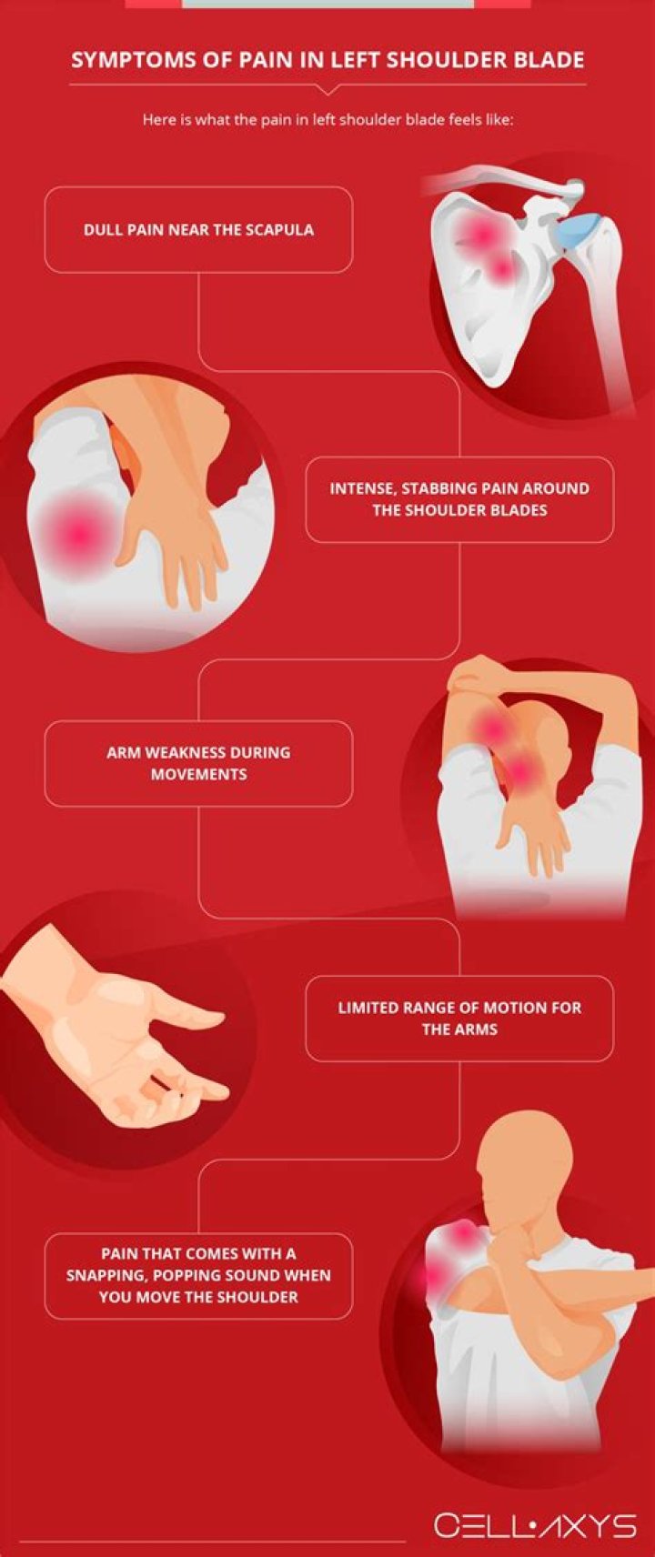 What causes pain in left back shoulder blade area?