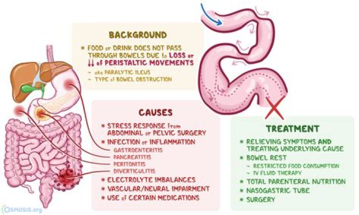 What causes small intestinal blockage?