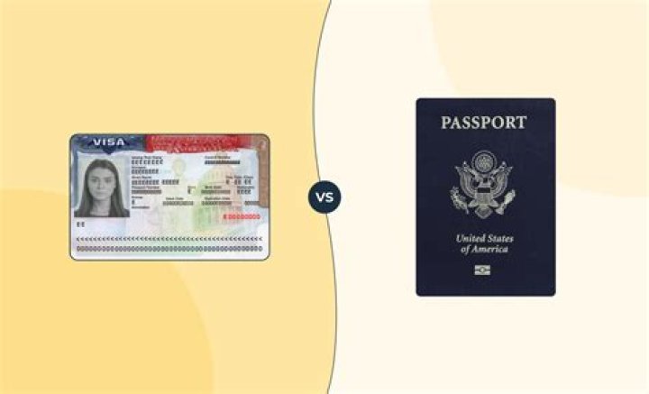 What color is American passport?