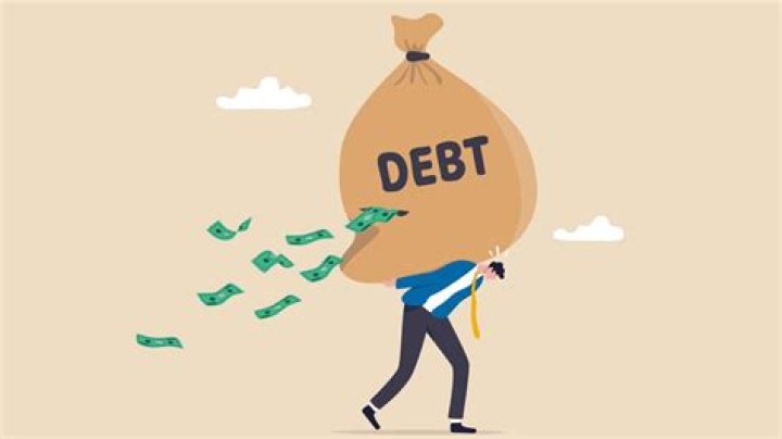 What companies have convertible debt?