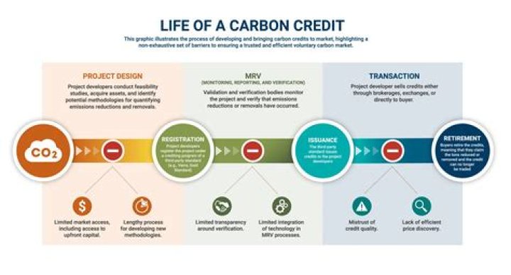 What companies sell carbon credits?