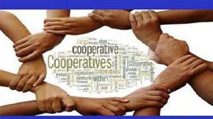 What cooperative means?