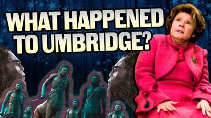 What did centaurs do to Umbridge?