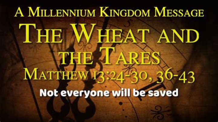 What did Jesus mean by the wheat and the tares?