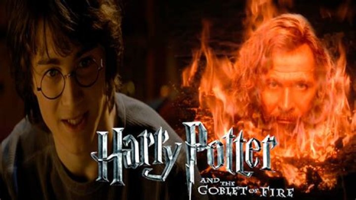 What did Sirius say in the fire?