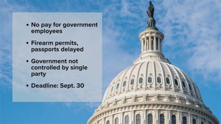 What did the US government do during ww2?