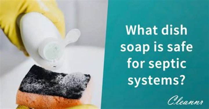 What dish soap is safe for septic systems?