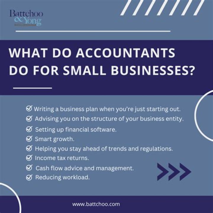 What do accountants do for small businesses?