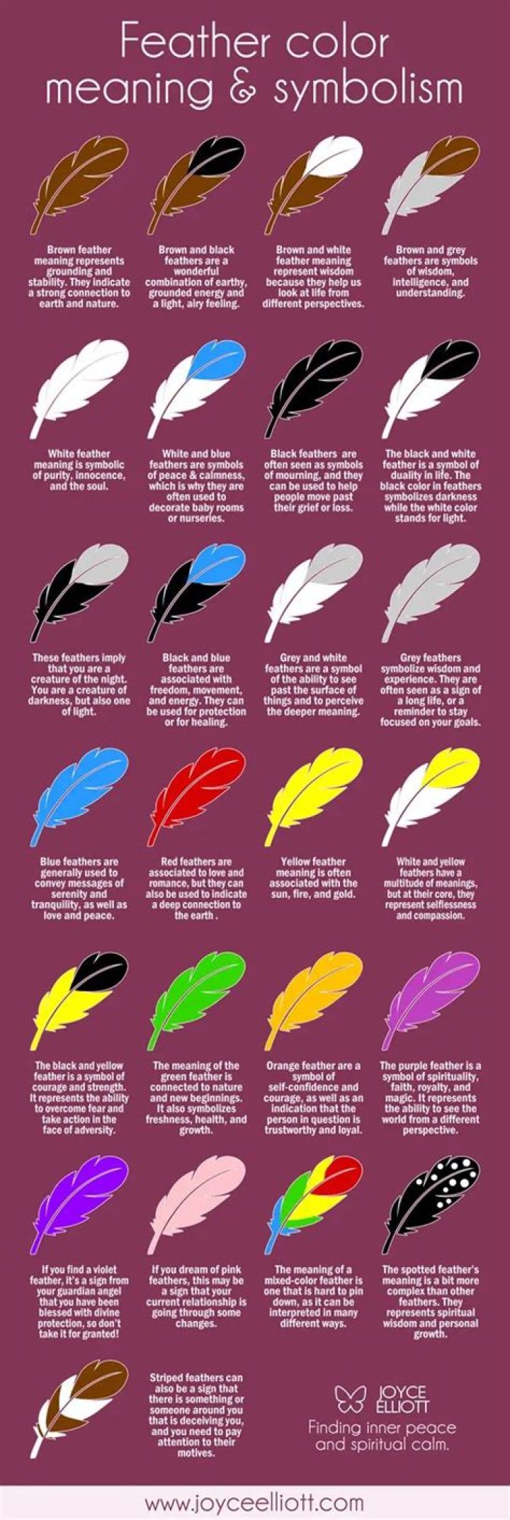 What do colors of feathers mean?