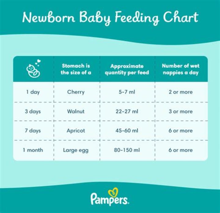 What do hospitals feed newborns?