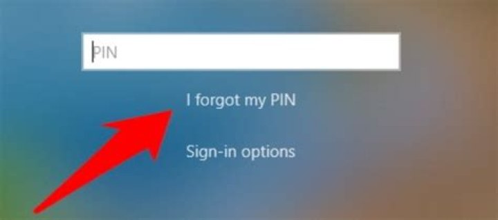 What do I do if I lost my PIN number?