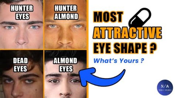 What do INTP find attractive?