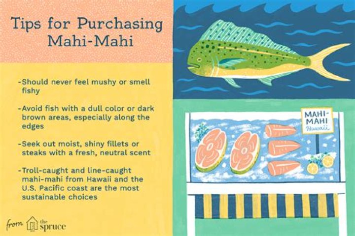 What do mahi mahi fish eat?