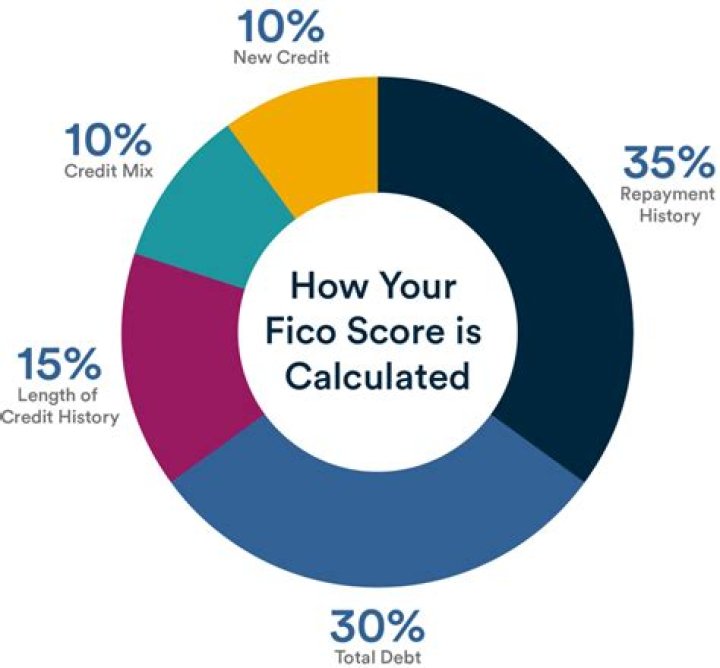 What do you do if they are mistakes in the FICO score?
