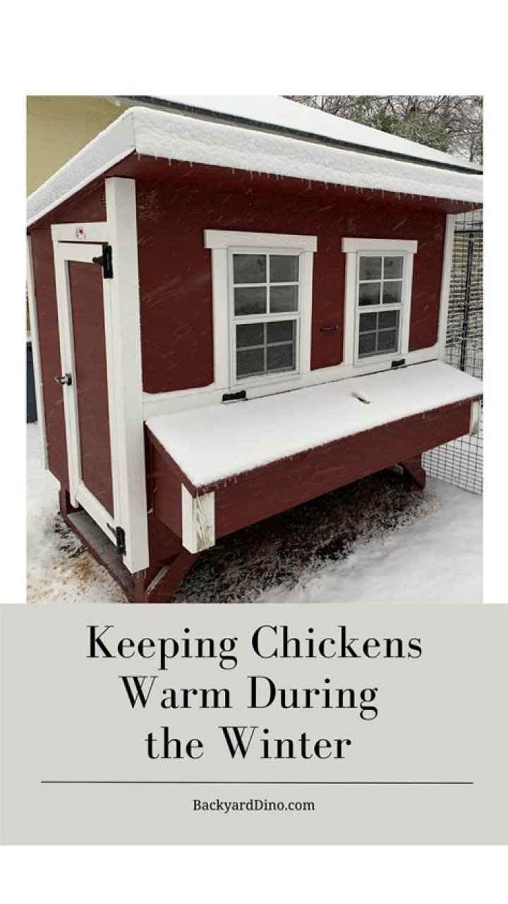 What do you do with a chicken coop in the winter?