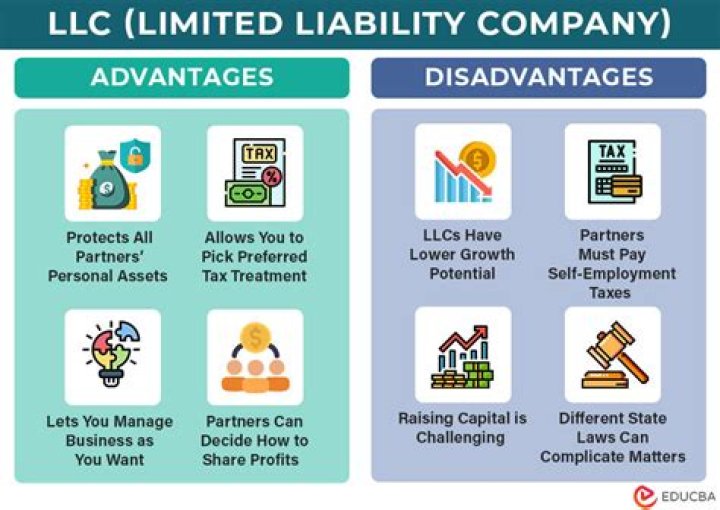 What do you mean by limited liability company?