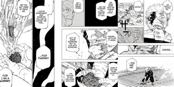 What do you think Johnny's last words to Pony mean?