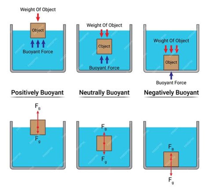 What does 100N buoyancy mean?