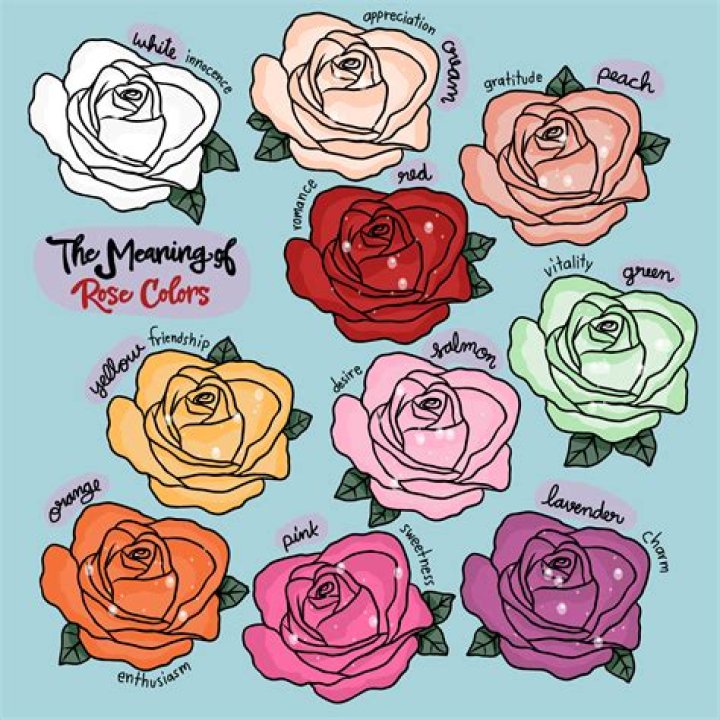 What does 5 rose mean?