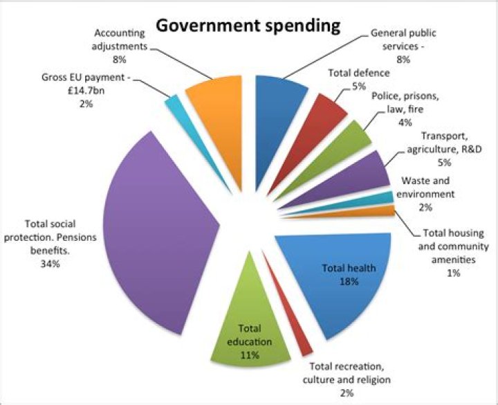 What does a government budget show?