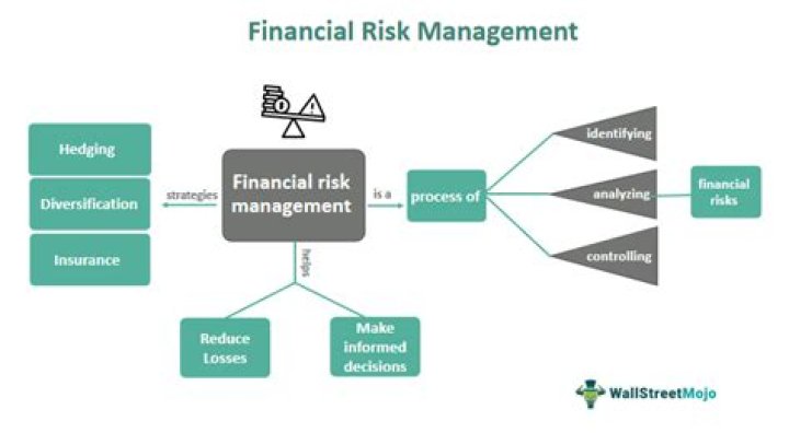 What does a higher financial risk mean?